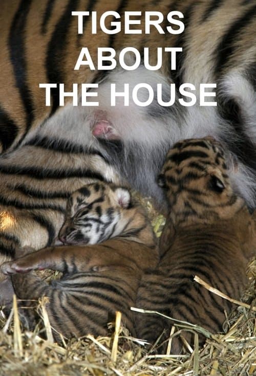 Tigers About the Houseのポスター