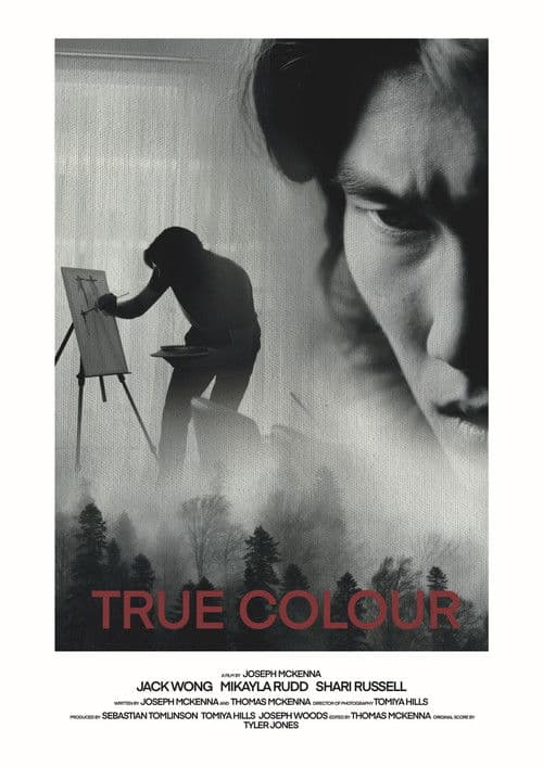 True Colourのポスター