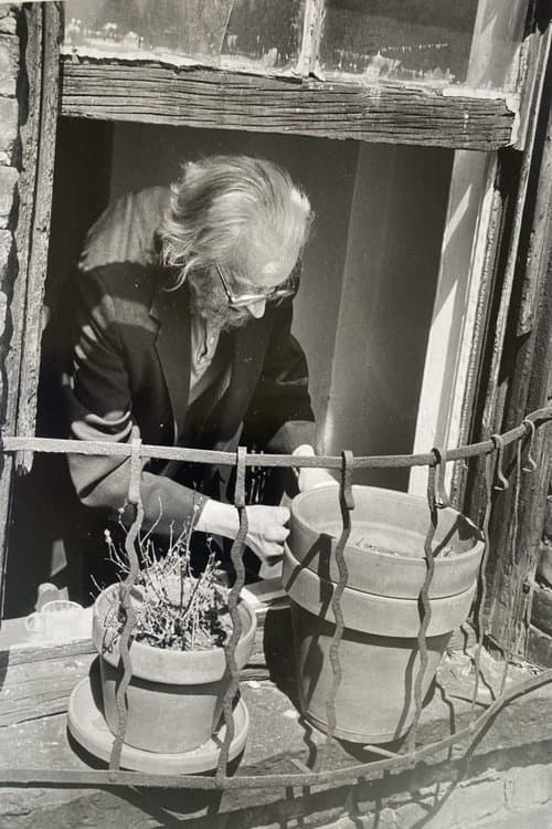 Home Movieのポスター