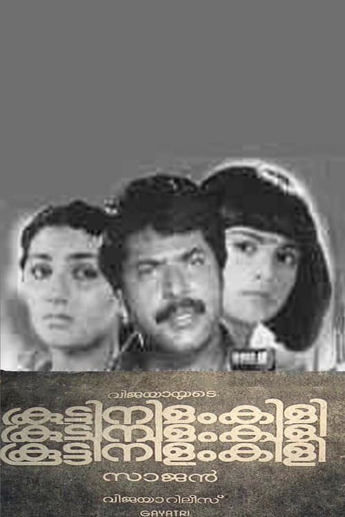 കൂട്ടിനിളംകിളിのポスター