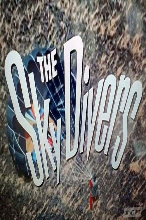 The Sky Diversのポスター