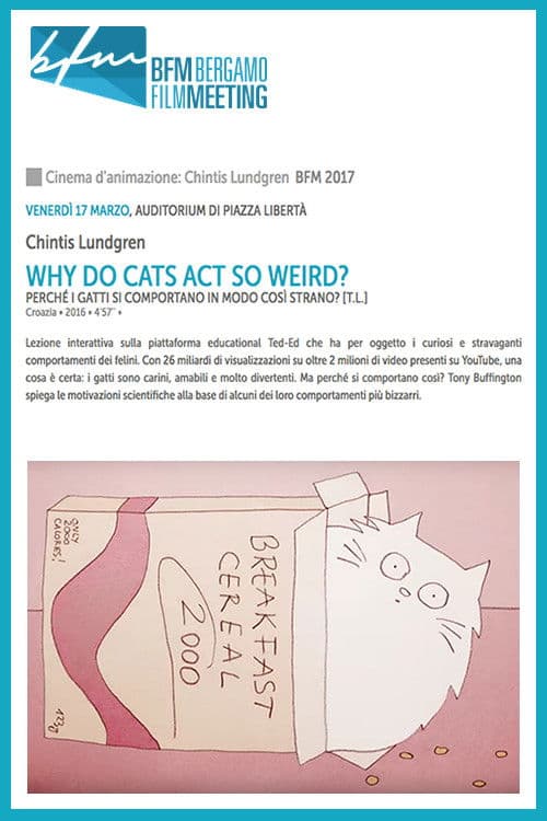 Why Do Cats Act So Weird?のポスター