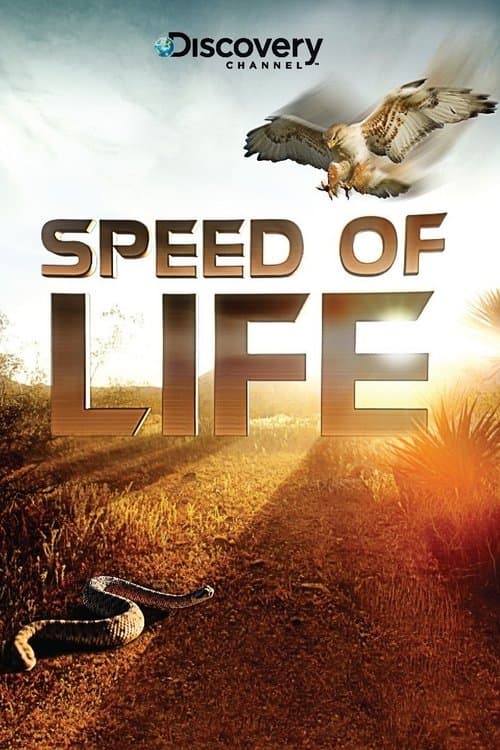Speed of Lifeのポスター