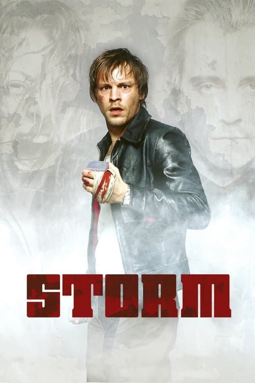Stormのポスター