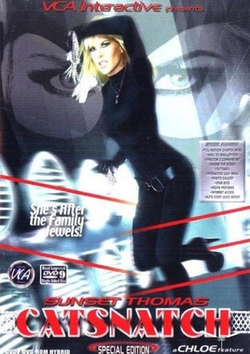 Catsnatchのポスター