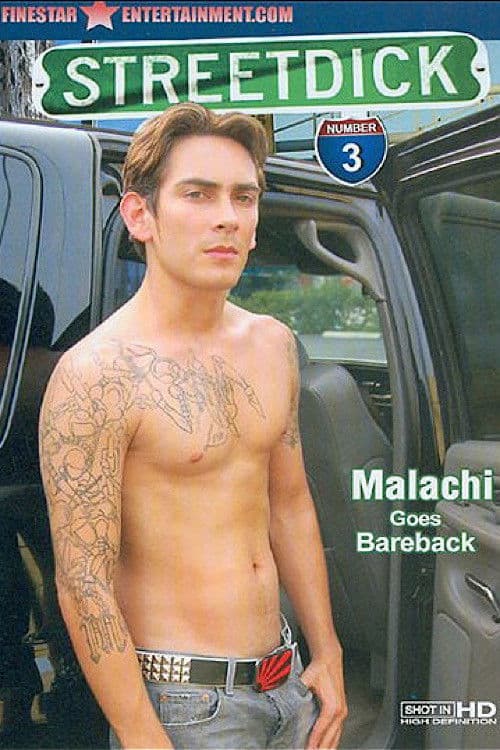 Street Dick 3のポスター