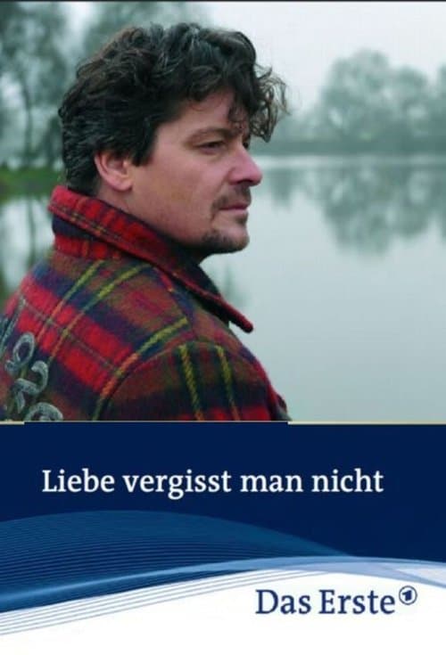 Liebe vergisst man nichtのポスター