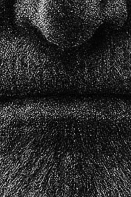 The Relictのポスター