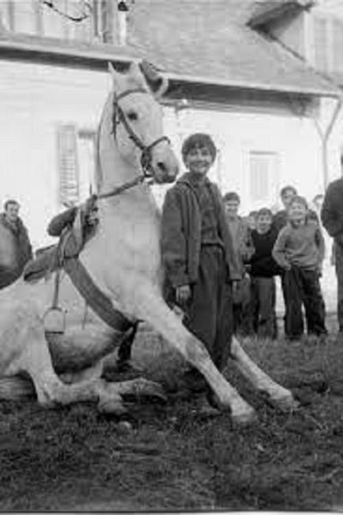 Vreme konjaのポスター