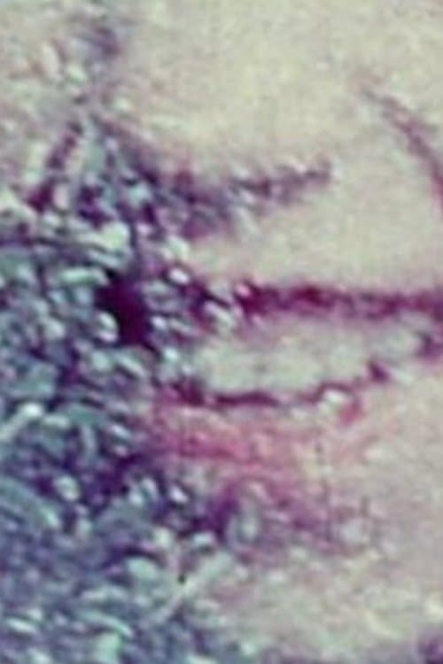 Film Notebook: Part 1 (For Saul)のポスター