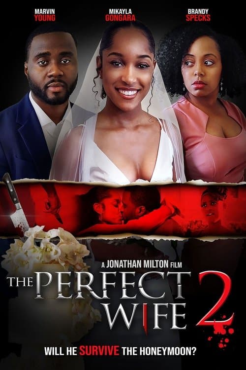 The Perfect Wife 2のポスター