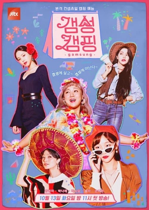갬성캠핑のポスター