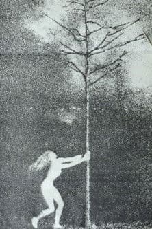 The Phallic Forestのポスター