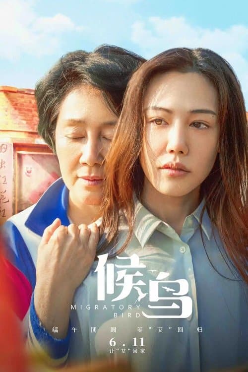 候鸟のポスター