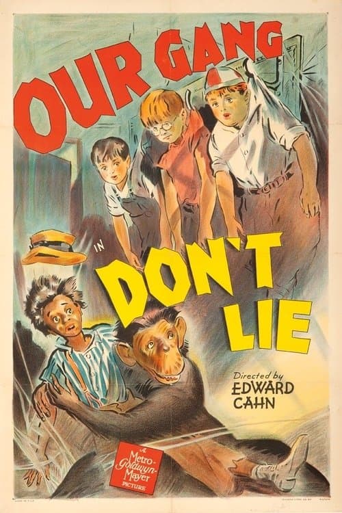 Don't Lieのポスター