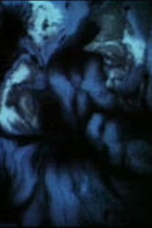 The Idea Manのポスター