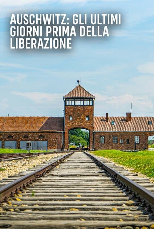 Auschwitz: Countdown to Liberationのポスター