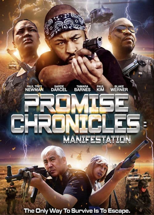 Promise Chronicles: Manifestationのポスター