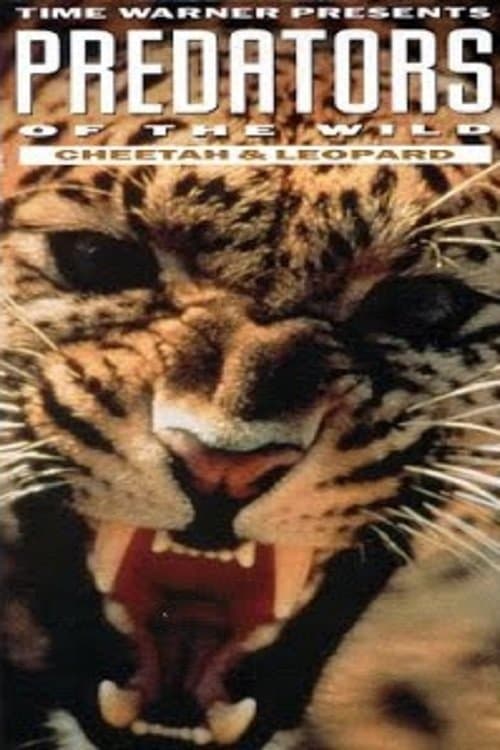 Predators of the Wild: Cheetah and Leopardのポスター