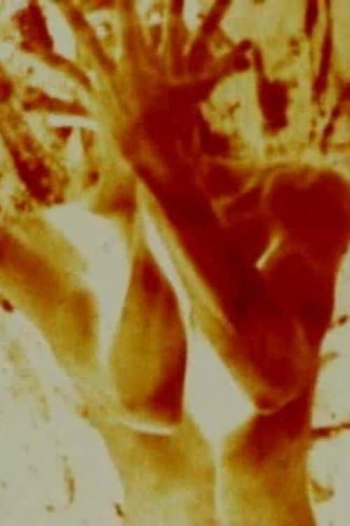 The Red Threadのポスター