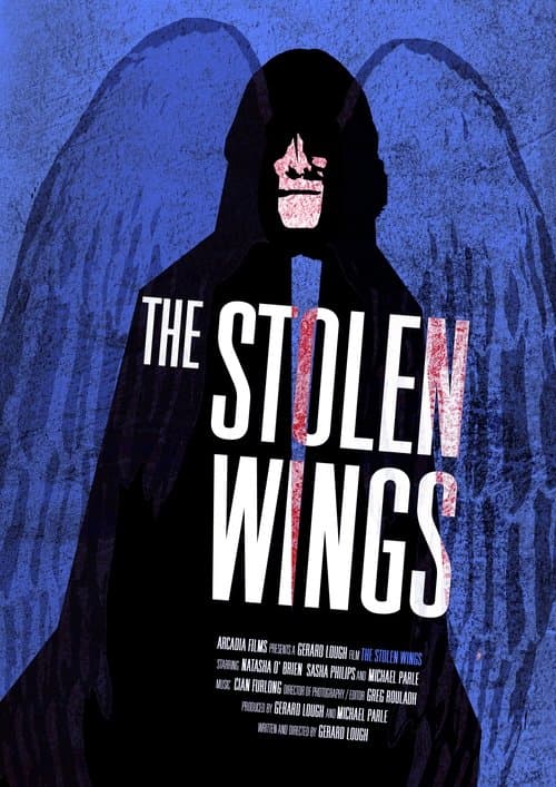 The Stolen Wingsのポスター