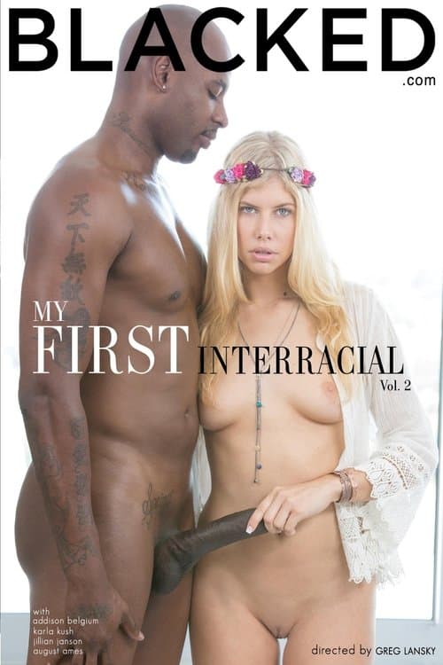 My First Interracial 2のポスター