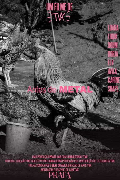 Antes de METALのポスター
