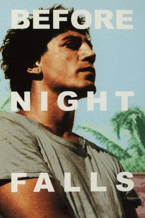 夜になるまえにのポスター