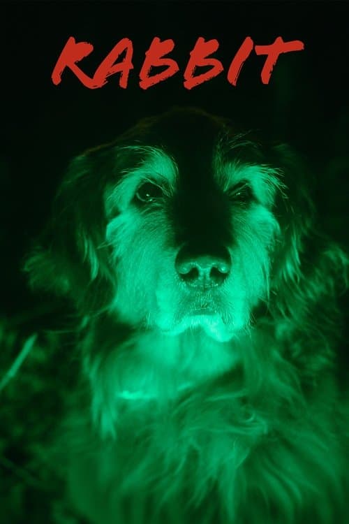 Rabbitのポスター
