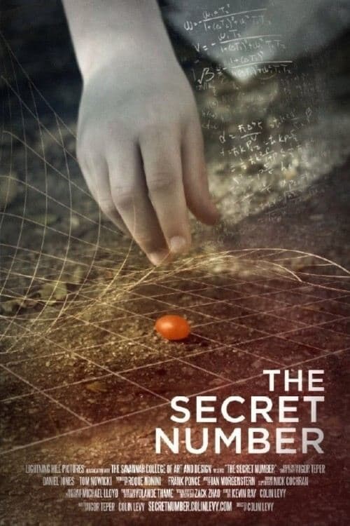 The Secret Numberのポスター
