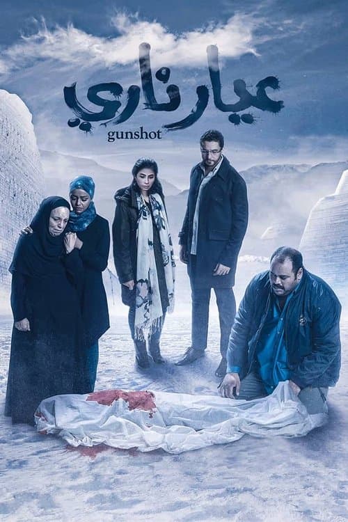 ガンショット －銃弾は真実を問う－のポスター