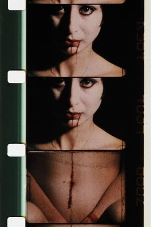 Double Labyrintheのポスター