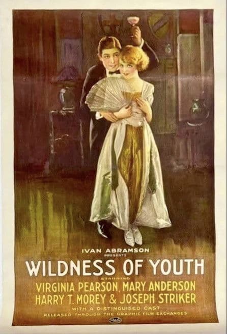 Wildness of Youthのポスター