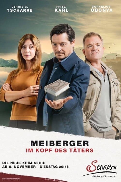 Meiberger - Im Kopf des Tätersのポスター