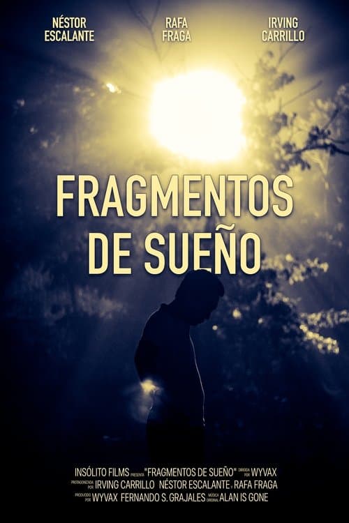 Fragmentos De Sueñoのポスター