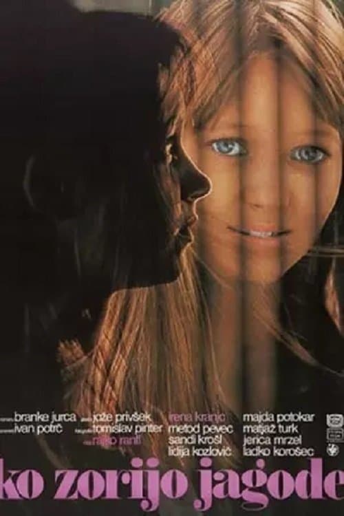 Ko zorijo jagodeのポスター