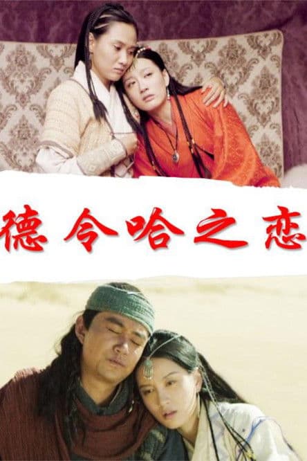 德令哈之恋のポスター