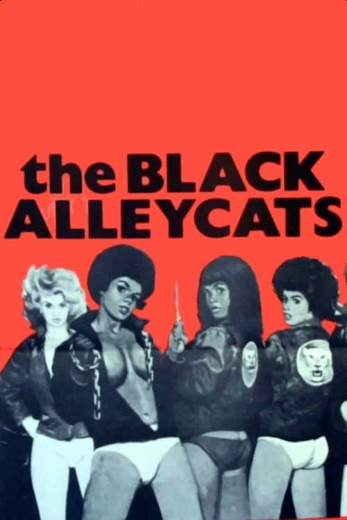 The Black Alley Catsのポスター