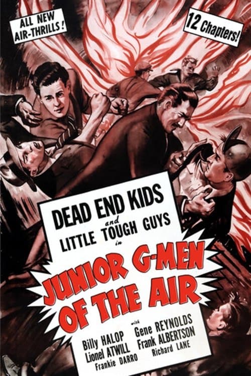 Junior G-Men of the Airのポスター