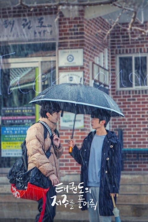 태권도의 저주를 풀어줘のポスター