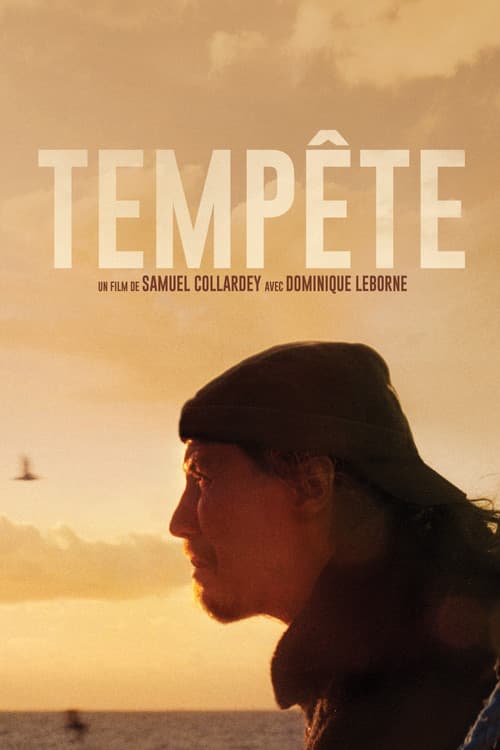 Tempêteのポスター