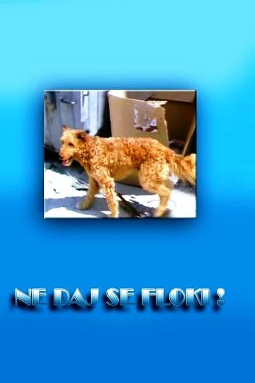 Ne daj se, Floki!のポスター