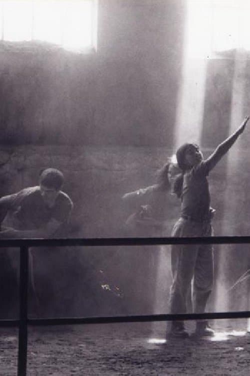 Vrtoglavi ptičのポスター