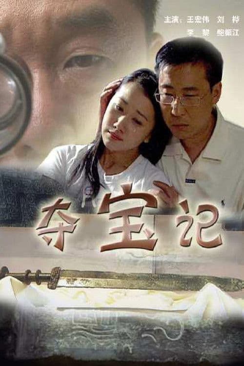 夺宝记のポスター