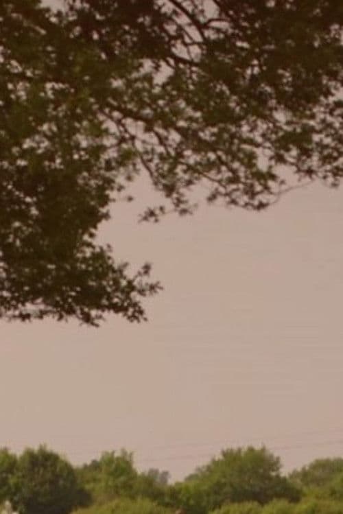 What's Killing Our Bees?のポスター