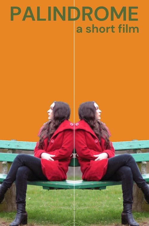 Palindromeのポスター