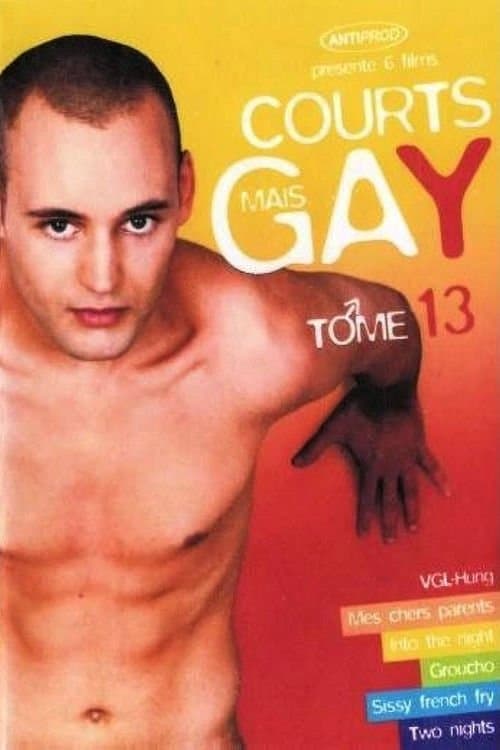 Courts mais Gay : Tome 13のポスター
