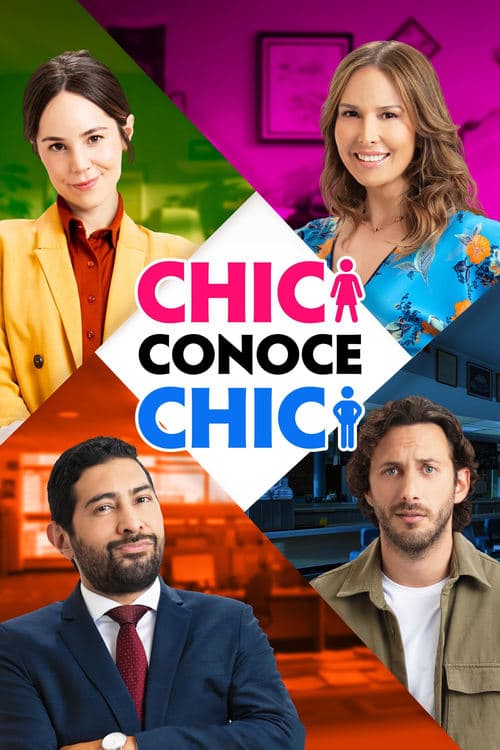 Chica conoce a chicoのポスター