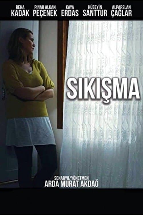 Sıkışmaのポスター
