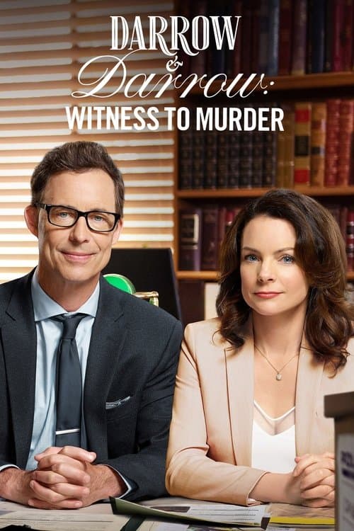 Darrow & Darrow: Witness to Murderのポスター